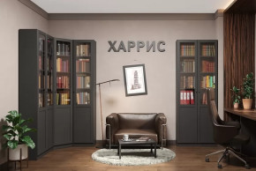 Библиотека Харрис в Советском - sovetskij.mebel-tymen.ru | фото