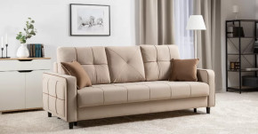 Черри Н диван-кровать арт. ТД 284 в Советском - sovetskij.mebel-tymen.ru | фото