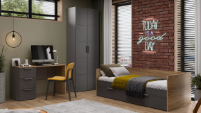 Детская «Стелла» Серый вулкан, Фон Серый, Яблоня Беллуно в Советском - sovetskij.mebel-tymen.ru | фото