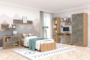 Детская Эго, набор №КТ-3, дуб крафт золотой/камень темный Диал в Советском - sovetskij.mebel-tymen.ru | фото