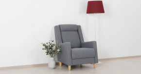 Дилан Кресло для отдыха арт. ТК 423 в Советском - sovetskij.mebel-tymen.ru | фото