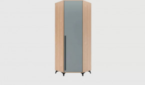 ЕВА Шкаф угловой 800 1С (ш804*г411*в2200мм), Фрост в Советском - sovetskij.mebel-tymen.ru | фото