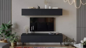 Гостиная «Глосс» №2 Яблоня Беллуно/Cтекло Графит матовый/Серый в Советском - sovetskij.mebel-tymen.ru | фото