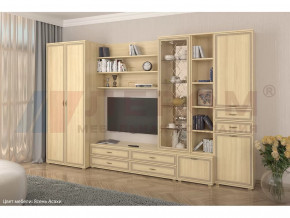 Гостиная Карина набор 11 в Советском - sovetskij.mebel-tymen.ru | фото