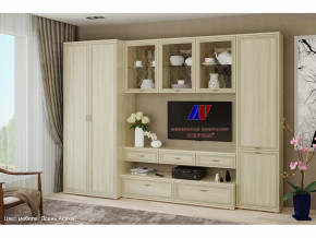 Гостиная Карина набор 23 в Советском - sovetskij.mebel-tymen.ru | фото