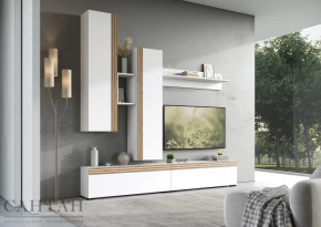 Гостиная НАО-Моно №1 в Советском - sovetskij.mebel-tymen.ru | фото