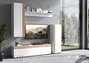 Гостиная НАО-Моно №2 в Советском - sovetskij.mebel-tymen.ru | фото