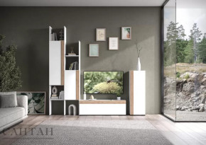 Гостиная НАО-Моно №3 в Советском - sovetskij.mebel-tymen.ru | фото