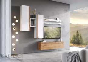 Гостиная НАО-Моно №5 в Советском - sovetskij.mebel-tymen.ru | фото