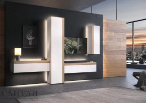 Гостиная НАО-Моно №7 в Советском - sovetskij.mebel-tymen.ru | фото