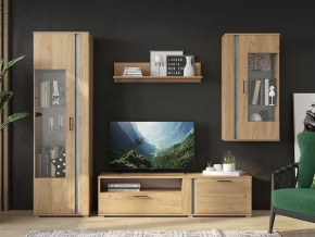 Гостиная Омега в Советском - sovetskij.mebel-tymen.ru | фото