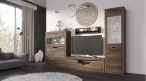 Гостиная Серия Регина дуб самдал в Советском - sovetskij.mebel-tymen.ru | фото