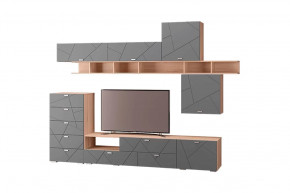 Гостиная Скайлайн, набор ДГ- 5, дуб сонома светлый/графит в Советском - sovetskij.mebel-tymen.ru | фото