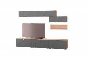 Гостиная Скайлайн, набор ДГ- 7, дуб сонома светлый/графит в Советском - sovetskij.mebel-tymen.ru | фото