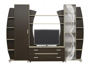 Гостиная Тиана-3 (Дуб Белфорт/Дуб Венге) в Советском - sovetskij.mebel-tymen.ru | фото