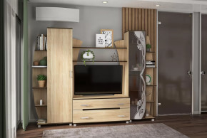 Гостиная Тиана-3 (Дуб Сонома) в Советском - sovetskij.mebel-tymen.ru | фото