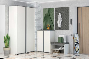 Иннэс-12 Прихожая №2 Диал в Советском - sovetskij.mebel-tymen.ru | фото