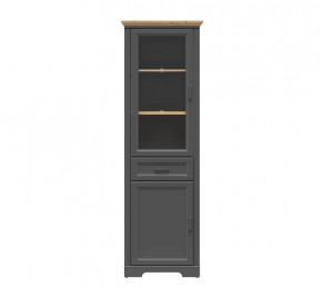 JASMIN шкаф REG1W1D1S (Графит/ Дуб артизан) в Советском - sovetskij.mebel-tymen.ru | фото