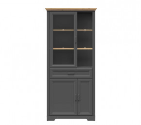 JASMIN шкаф REG1W2D1S (Графит/ Дуб артизан) в Советском - sovetskij.mebel-tymen.ru | фото