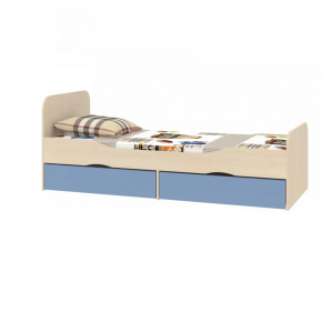 Кровать подростковая Дельта-19 в Советском - sovetskij.mebel-tymen.ru | фото