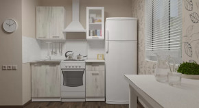 Кухонный гарнитур Алина мини 1000 мм в Советском - sovetskij.mebel-tymen.ru | фото