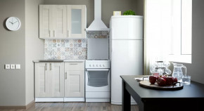 Кухонный гарнитур Лира мини 1000 мм в Советском - sovetskij.mebel-tymen.ru | фото