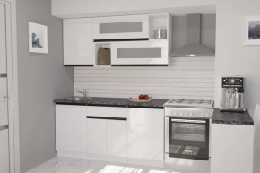 Кухонный гарнитур Лотос стандарт 1600 мм в Советском - sovetskij.mebel-tymen.ru | фото