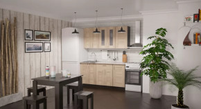 Кухонный гарнитур Ника стандарт 1600 мм в Советском - sovetskij.mebel-tymen.ru | фото