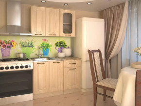 Кухонный прямой гарнитур 2, 1000 мм, Грецкий орех в Советском - sovetskij.mebel-tymen.ru | фото