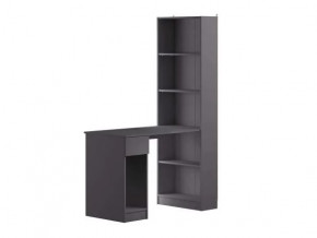 Лайт Шкаф комбинированный 10.01 (Темно-серый) в Советском - sovetskij.mebel-tymen.ru | фото