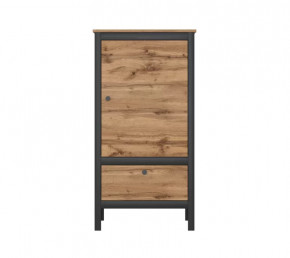 LOFT шкаф REG1D1S/60 (Дуб вотан/Черный) в Советском - sovetskij.mebel-tymen.ru | фото