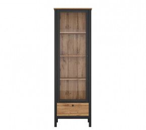 LOFT шкаф REG1W1S (Дуб вотан/Черный) в Советском - sovetskij.mebel-tymen.ru | фото