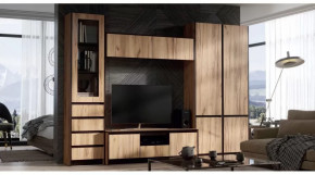 Мебель для гостиной Модульная серия Бостон дуб вотан в Советском - sovetskij.mebel-tymen.ru | фото