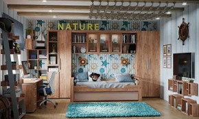 Модульная детская Nature в Советском - sovetskij.mebel-tymen.ru | фото