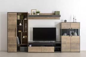 Модульная гостиная Трувор в Советском - sovetskij.mebel-tymen.ru | фото