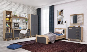 Молодёжная №ДКС-1 "Вега Скандинавия" Дуб каньон/Силк флай в Советском - sovetskij.mebel-tymen.ru | фото