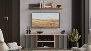 Набор мебели для гостиной «Хилтон» №5 Дуб Крафт золотой, Графит матовый в Советском - sovetskij.mebel-tymen.ru | фото