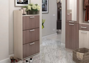 Обувница №2 Дели в Советском - sovetskij.mebel-tymen.ru | фото