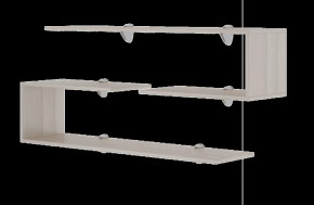 Остин подростковая М18 Полки навесные (2 шт) в Советском - sovetskij.mebel-tymen.ru | фото