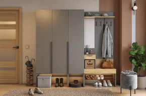 Прихожая Баско К11 графит/дуб крафт золотой в Советском - sovetskij.mebel-tymen.ru | фото