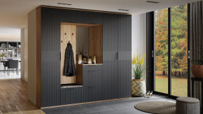 Прихожая «Хилтон» № 2 Дуб Крафт золотой, Графит матовый в Советском - sovetskij.mebel-tymen.ru | фото