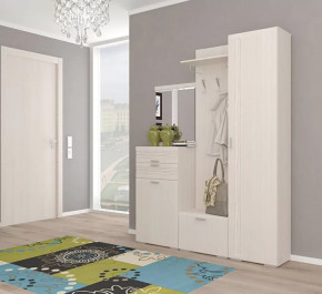 Прихожая Лотос Композиция №21 в Советском - sovetskij.mebel-tymen.ru | фото