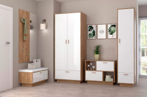 Прихожая Эго, набор №БГ-1, дуб крафт золотой/белый глянец Диал в Советском - sovetskij.mebel-tymen.ru | фото