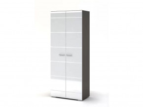 Шкаф 2-х створчатый Вегас в Советском - sovetskij.mebel-tymen.ru | фото