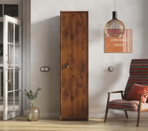 Шкаф JREG 1d Дуб саттер ИНДИАНА в Советском - sovetskij.mebel-tymen.ru | фото