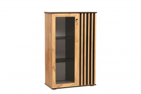 Шкаф комбинированный 51.03 Либерти (опора h=20мм) в Советском - sovetskij.mebel-tymen.ru | фото