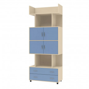 Шкаф комбинированный Дельта-5.03 в Советском - sovetskij.mebel-tymen.ru | фото