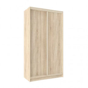 Шкаф-купе 1200 Домашний лдсп/лдсп в Советском - sovetskij.mebel-tymen.ru | фото