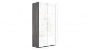 Шкаф-купе 2-х дверный «Траст» в Советском - sovetskij.mebel-tymen.ru | фото