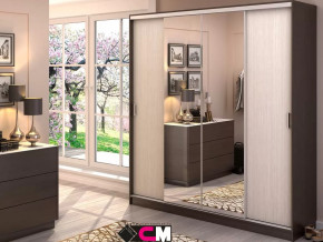 Шкаф-купе Альянс 2000 в Советском - sovetskij.mebel-tymen.ru | фото